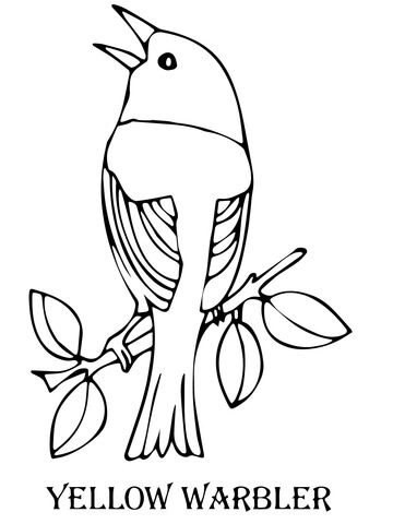 Yellow Warbler Bird Coloring Page